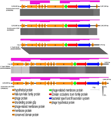 Universal builders has been serving grey county including flesherton, markdale, dundalk, feversham, beaver valley, lake eugenia and surrounding areas as well as the georgian triangle area including collingwood, wasaga beach, stayner, the blue mountains and georgian bay areas since. Th Universal Builders Sdn Bhd Star Registry Csa Thousands Of Companies Like You Use Panjiva To Research Suppliers And Competitors Rem Pej