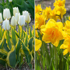 The latest ones are on mar 14, 2021 13 new farmgirl flowers discount results have been found in the last 90 days, which means that every 7, a new farmgirl flowers discount. Zing Flowers Discount Code