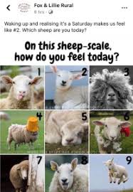 How to write your feelings for the day? Sheep Scale 1 9 Meme Wool For Every Day Wool For Every Day