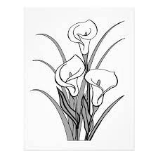 Image Of Calla Lily Clipart 5743 Calla Lily Stencil Clipartoons Calla Lily Clip Art Library Art
