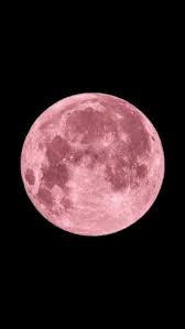 Im Hintergrund Dieser Rosa Schimmer Wallpaper Handy Wallpaper Handy Wallpaper Dem Handy Fernsehapparat In Dem P Guru Meinmodus Com Hintergrundbild „krähe im profil herunterladen. im hintergrund dieser rosa schimmer