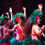 Hawaiian hula Dancers Luau'S- Drums of Tahiti Polynesian review from www.tripadvisor.com