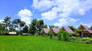 Your question will be posted publicly on the questions & answers page. The 10 Best Farm Stays In Thailand Booking Com