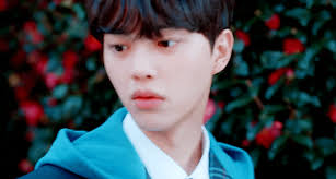 Https Encrypted Tbn0 Gstatic Com Images Q Tbn And9gcr1 N Eesnxolup0taynob39v2ytpt3vhtu7a Usqp Cau