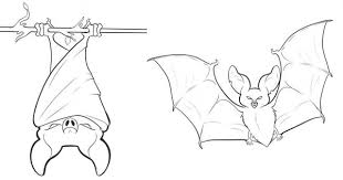 Free Printable Bat Coloring Pages For Kids Bat Coloring Pages Animal Coloring Pages Cute Bat