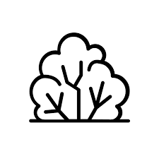 Image result for Eschenbachia