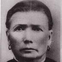 Amanda Bradley (1829–1903)