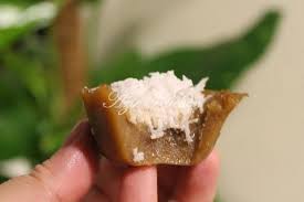 Namun manfaat dari gula merah ini tidak kalah baik untuk kesehatan. Kuih Lompang Gula Merah Azie Kitchen