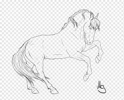 Du willst im galopp bequem aussitzen und mit deinem pferd eine einheit bilden? Wildes Pferd Das Linie Kunst Bleistift Pferd Zeichnet Tierfigur Tiere Arm Png Pngwing
