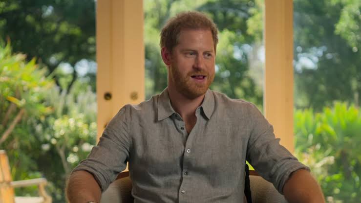See Prince Harry's awkward reaction when he's quizzed on his job