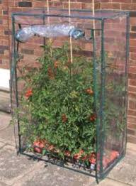 Gewächshäuser für den heimischen garten gibt es in den. Tomatenzelt Kaufen Oder Mit Bauanleitung Selber Bauen Gewachshaus Profi