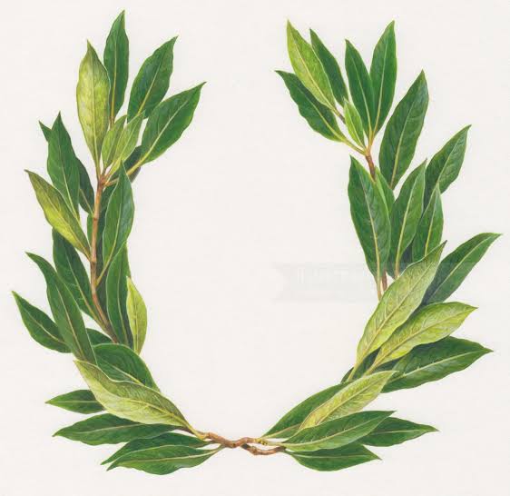 UK Polices Motto-Emblem Will Change laurel wreath | Illustration by Andrew Hutchinson
