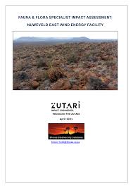 Image result for Dichilus bainesii