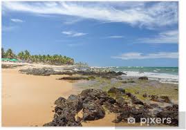 25 jahren von meinen reisen nach. Poster Strand Von Praia Do Forte Salvador De Bahia Brasilien Pixers Wir Leben Um Zu Verandern