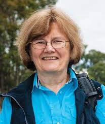 November 2020 by dogsnsw