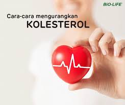 Aside from being visually appealing and historically therapeutic, red yeast rice is making its way to western remedies as one of the best supplements for cardiovascular health. Gaya Hidup Pemakanan Dan Pengambilan Bio Life Malaysia Facebook