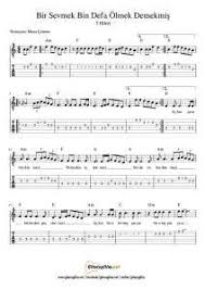 Gitaregitim Net Notalari Panosundaki Pin