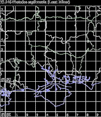 Image result for Photedes captiuncula