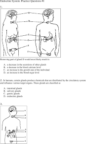 Ieice technical report vol 114 no 414 2015. Endocrine System Practice Questions 1 Pdf Free Download