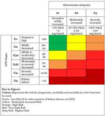 Estimated Glomerular Filtration Rate Egfr National