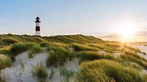 Maybe you would like to learn more about one of these? How To Move To Denmark Step By Step Guide Wise Formerly Transferwise