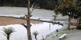Secretaria de turismo de gramado. Gramado Registra Neve A Dez Dias Do Inverno