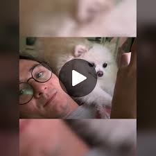 it was such a sweet moment... #lilypichu#michaelreeves #pets #temmie