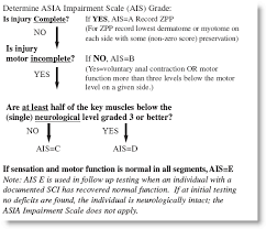 Asia Score And Spinal Injury Classification Bone And Spine