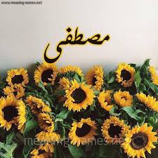 صور اسم مصطفى اجمل صور لاسم مصطفى بنات كيوت