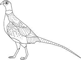 Coloriage Sanglier A Colorier Dessin A Imprimer Thanksgiving Coloring Pages Native American Thanksgiving Coloring Pages