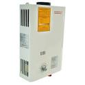 CALENTADOR INSTANTNEO GAS LP en width=