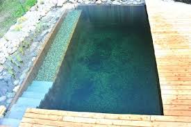 Zwei Elemente Miteinander Verbunden In Einem Naturpool Moderner Teich Natur Pool Naturschwimmbecken