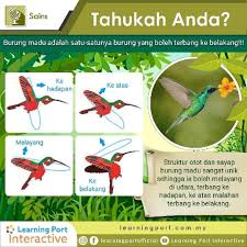Ketahui Fakta Menarik Tentang Haiwan Dengan Lebih Lanjut Di Www Learningport Com My Atau Klik Link Pada Bio Dan Langgan Modul Learning Port Interactive L In 2020 Tumblr