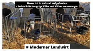 150 rinder sterben auf einem hof. Bauer Tot In Kuhstall Aufgefunden Polizei Hilft Hungrige Kuhe Und Kalber Zu Versorgen Moderner Landwirt