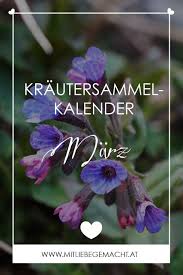 Pin Auf Hausmittel Die Besten Rezepte