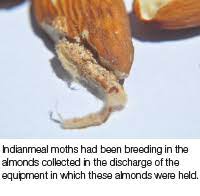 Controlled substances (pesticides) regulations, 2017. Ipm In Food Plants Quality Assurance Food Safety