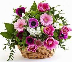Un mazzo di fiori non per forza ha un costo oneroso. Mazzi Di Fiori Per Buon Compleanno Flower Arrangements Colorful Flowers Send Flowers Online