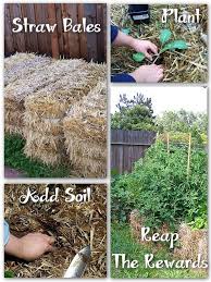Easy Gardening With Straw Bales Free Gardening Tips Free Gardening Help Straw Bale Gardening Hay Bale Gardening Easy Garden