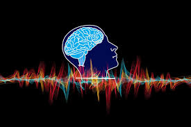 New study links brain waves directly to memory