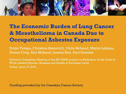 If you&#x27;ve been exposed to asbestos and been diagnosed with mesothelioma, you may be wondering if you can recover compensation via a lawsuit or legal claim. The Economic Burden Of Lung Cancer Mesothelioma In Canada Due To Occupational Asbestos Exposure Emile Tompa Christina Kalcevich Chris Mcleod Martin Ppt Download