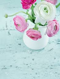 We did not find results for: Pastel Color Flowers On Shabby Chic Wooden Light Blue Background Stock Photo Picture And Royalty Free Image Image 17974743