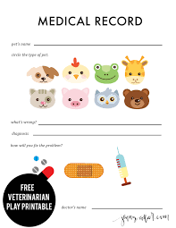 Veterinarian Play Printables Dramatic Play Preschool Pet Health Record Kids Doctor Kit