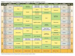 Grow Vegetables Try Integrating Cover Crops Iowa