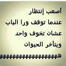 pin by maram basma on ضحك و خفة دم funny arabic quotes funny quotes funny comments