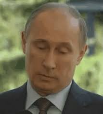 Few world leaders have as rich a meme history as vladamir putin. Putin Gifs Tenor