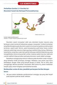 Soal dan jawaban ipa kelas vii semester 2 halaman 81 82. Uji Kompetensi Ipa Kelas 7 Semester 2 Hal 44 Cara Golden
