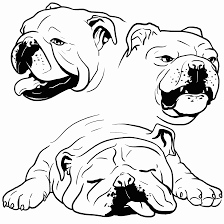 I love to draw and paint, but sometimes i just wanna color! Bulldog Coloring Pages Best Coloring Pages For Kids