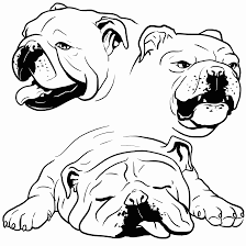We did not find results for: Bulldog Coloring Pages Best Coloring Pages For Kids
