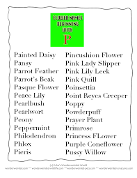 But that is not a valid statement anymore!. List Of All Flowers Name Beginning With P In Our Dictionary Of Flowers With Free Printable Flower Poster All Flowers Name Flower Names Flowers Name List