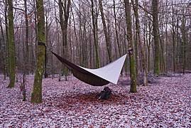 By purchasing a camping hammock and supporting this cause, you help protect and save the elephants! Hammock Wikipedia